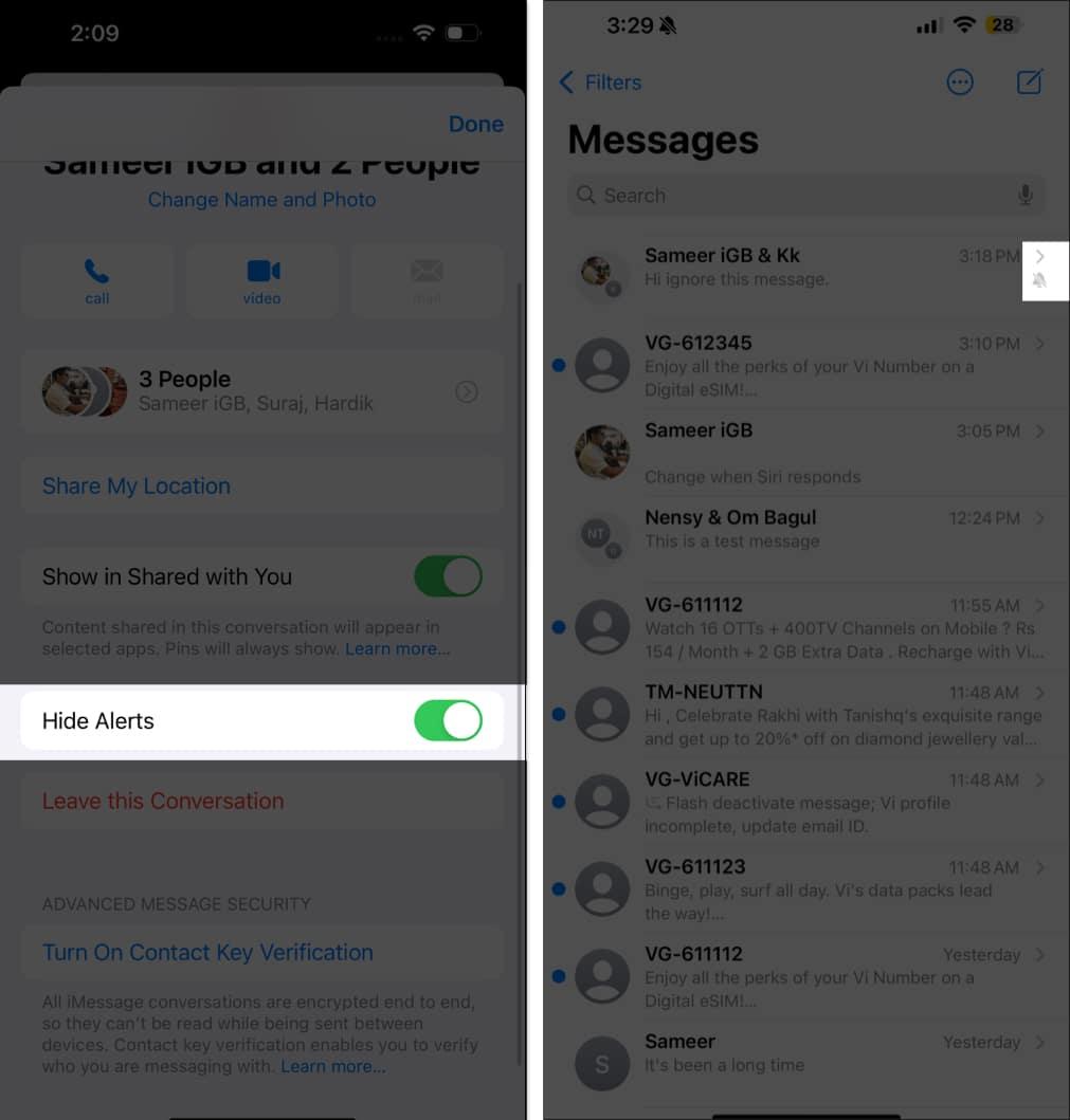 Toggling on the Hide Alerts option for an iMessage group chat on an iPhone.
