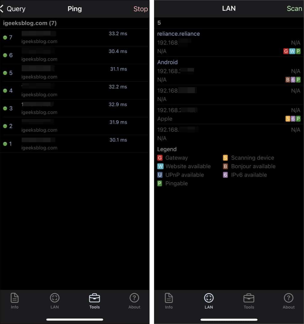 Network Analyzer: net tools for iPhone.