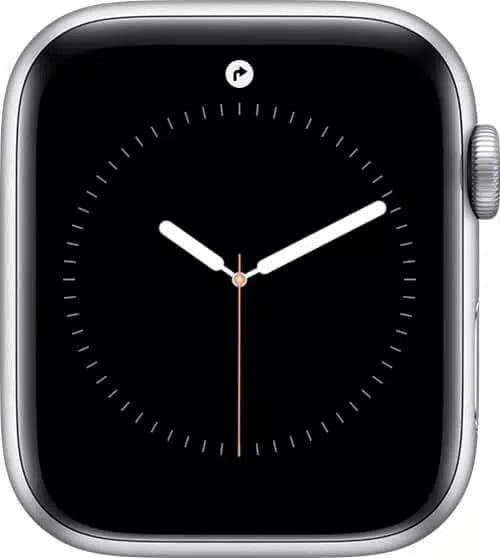 Apple Watch Navigation icon.