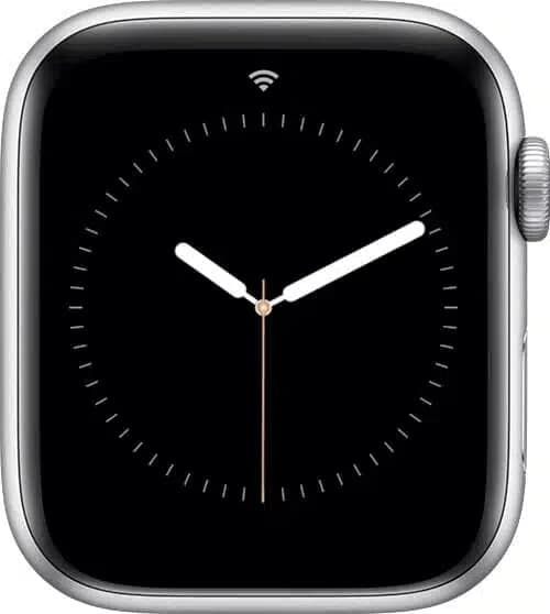 Apple Watch WiFi icon.
