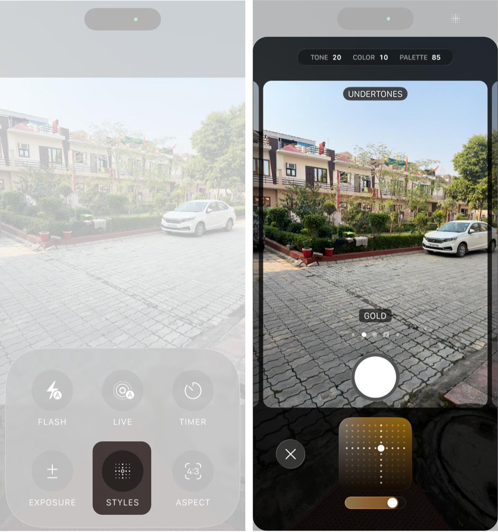 Apply a Photographic Style While Taking Photos