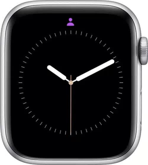 Personal Focus Mode icon on Apple Watch.