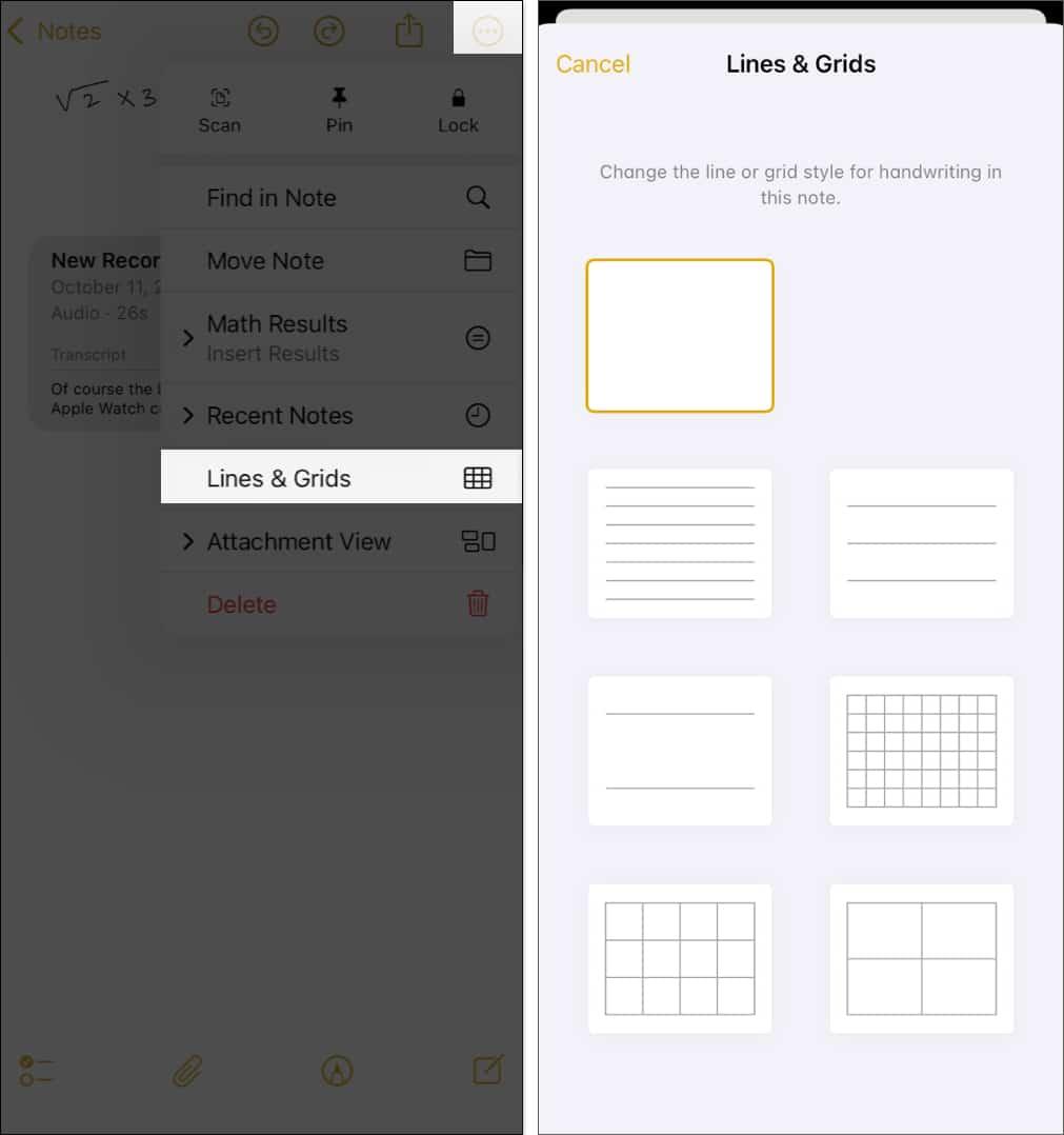Select Lines and Grids in Notes menu on iPhone.