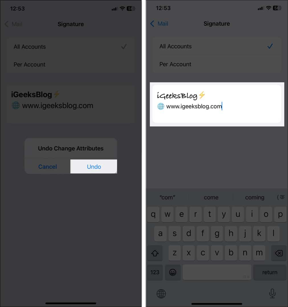 Shaking iPhone and selecting Undo to undo changes to the custom signature.