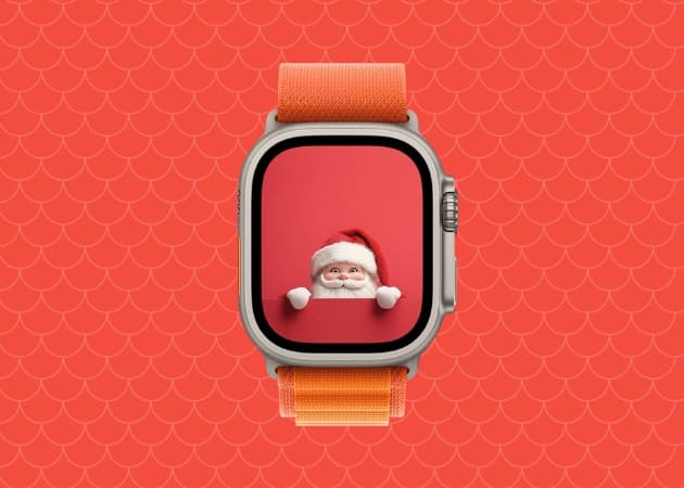 Peekaboo Santa