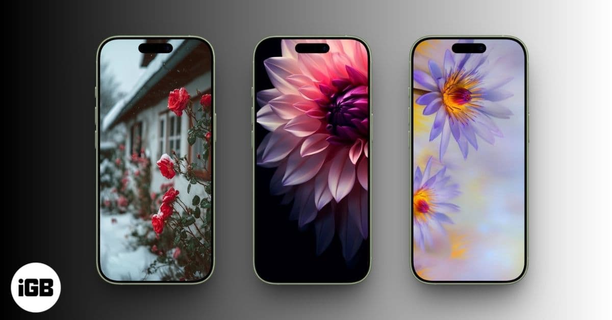 15 Best Flower Wallpapers for iPhone: Beautiful Floral Backgrounds in 4K
