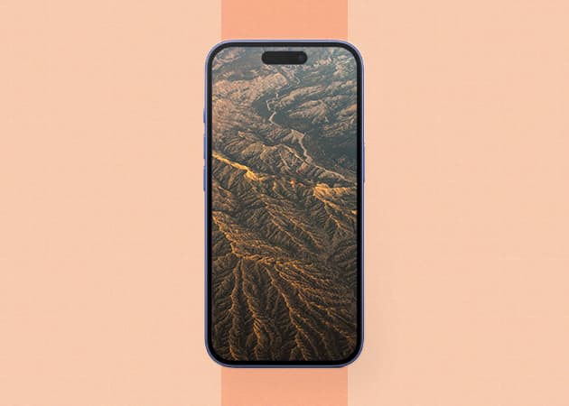 Nature inspired topography wallpaper.