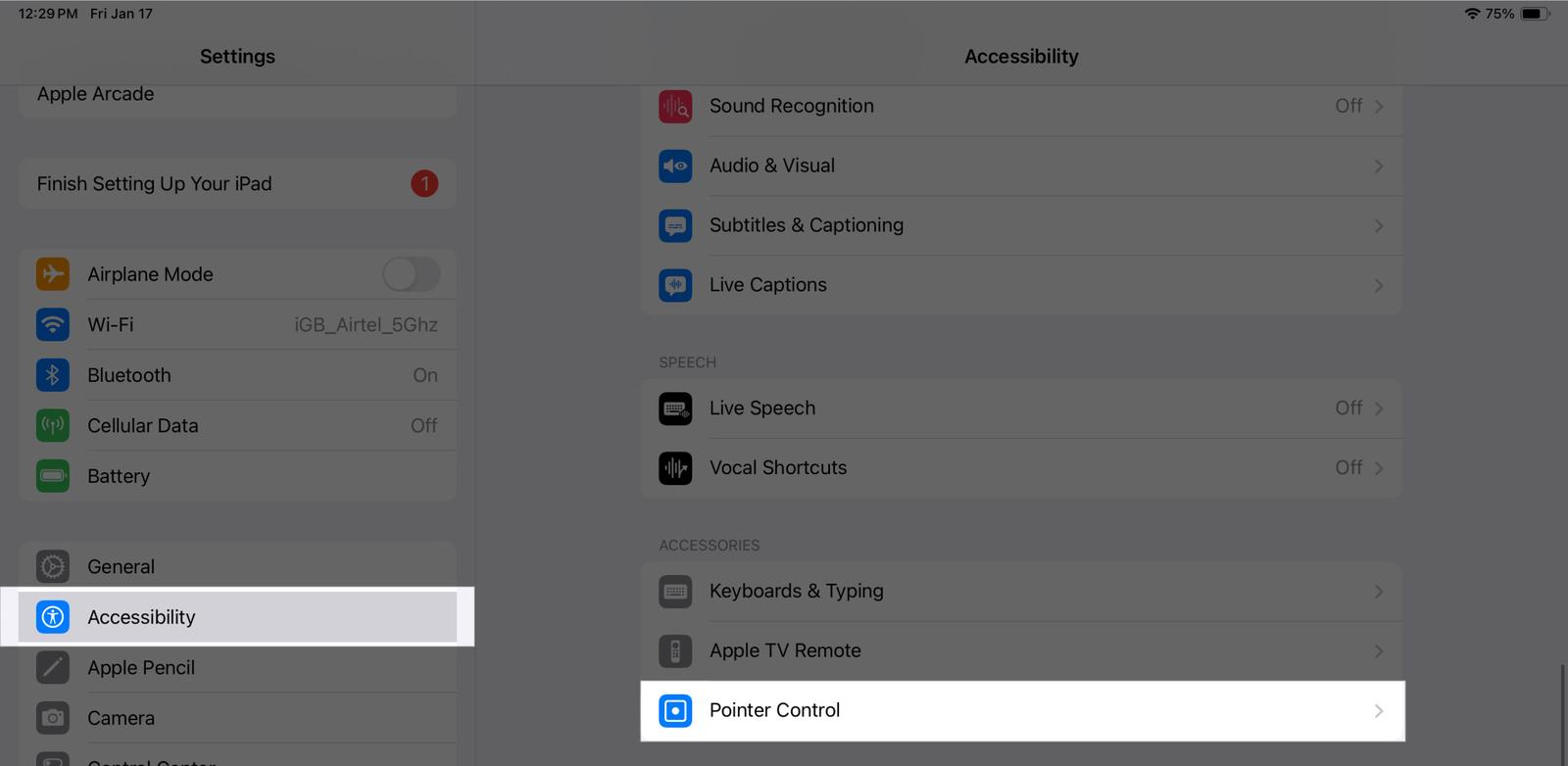 Accessing Pointer Control settings on an iPad.