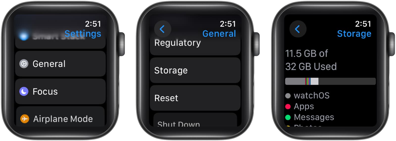 Accessing the Storage page on an Apple Watch.