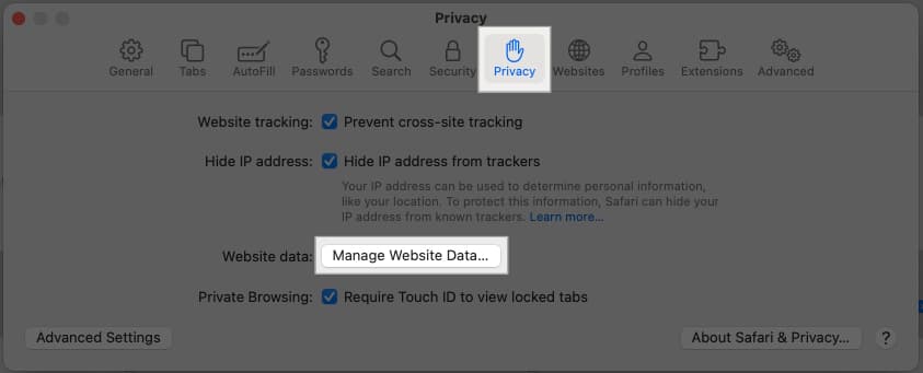 Click on Manage Website Data button in Privacy tab on Safari settings.