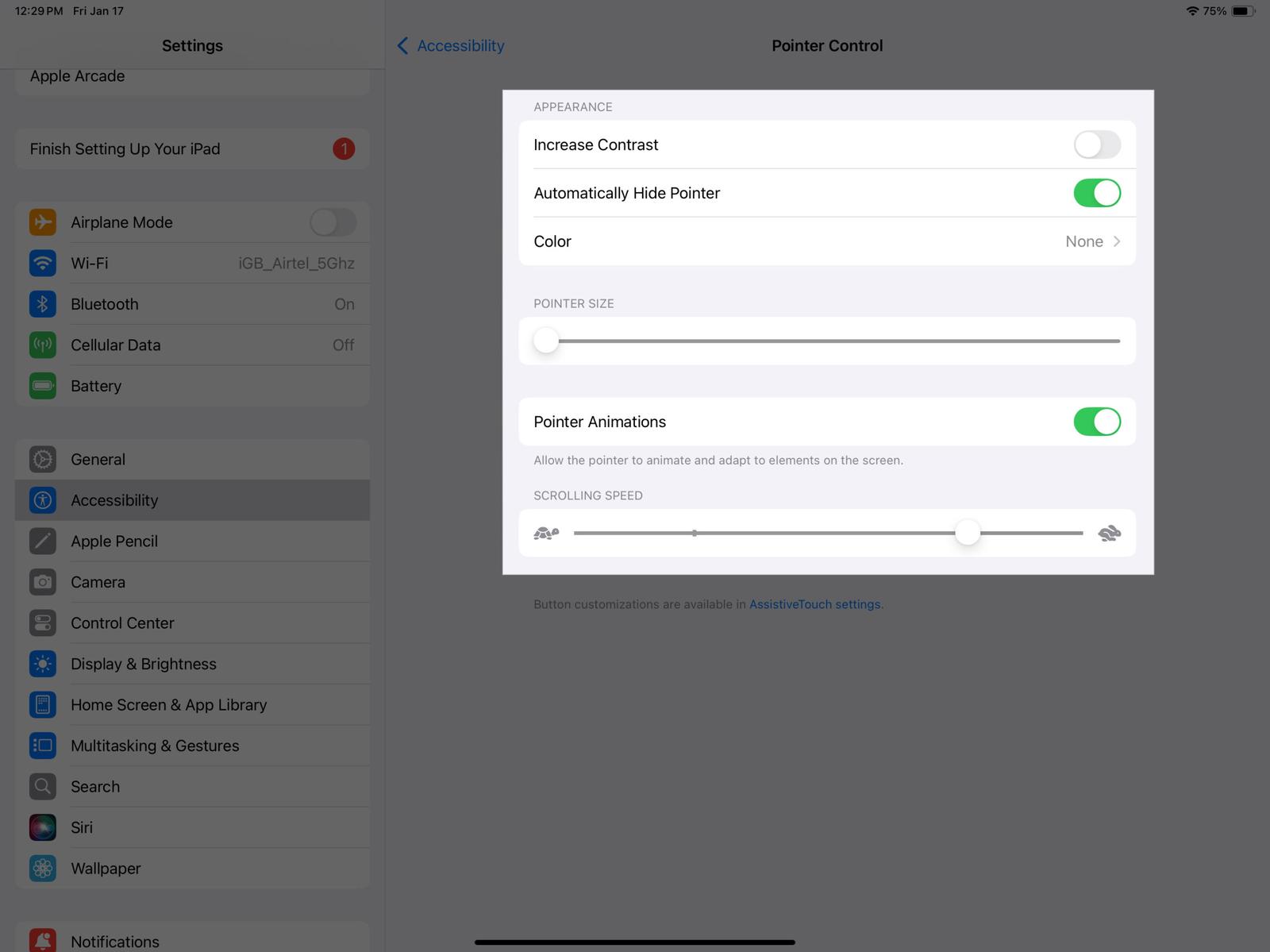 Customizing Pointer Control settings on an iPad.