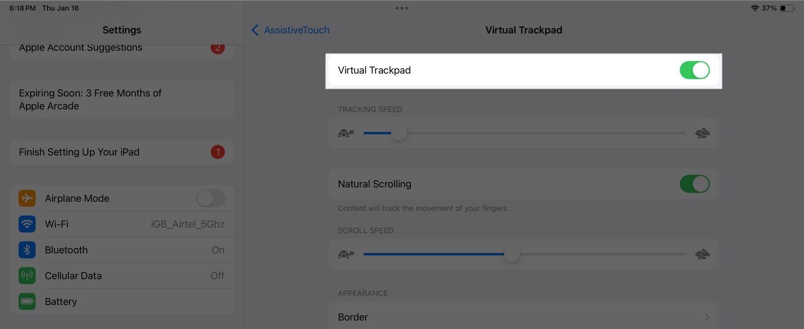 Enabling Virtual Trackpad on an iPad.