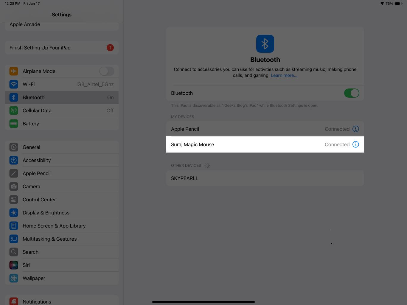 Paired Bluetooth mouse appearing under the My Devices section in the Settings app on an iPad.