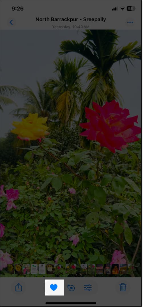 Tap on heart icon to add image in Featured Photo section in Photos app.