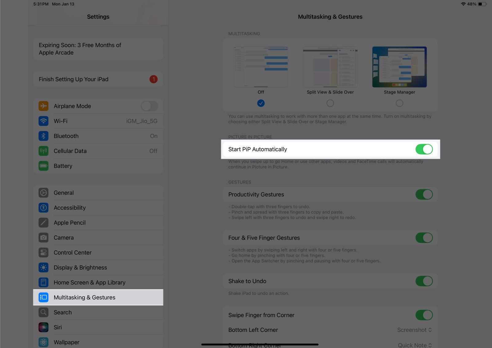 Toggling on the Start PiP Automatically option from Multitasking & Gestures settings on an iPad.