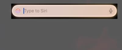 Type to Siri text box on a Mac.