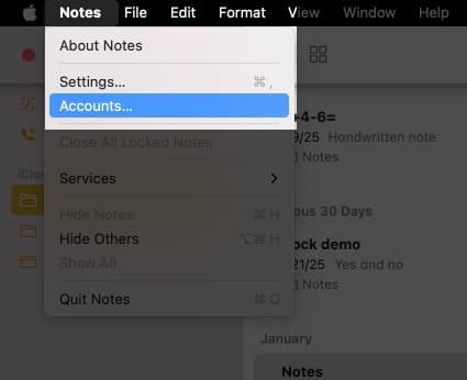 Open Notes app on Mac go to the menu bar and select Accounts.