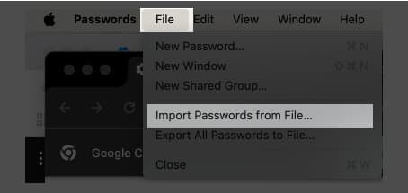 Open Passwords app verify Touch ID and import passwords from file.