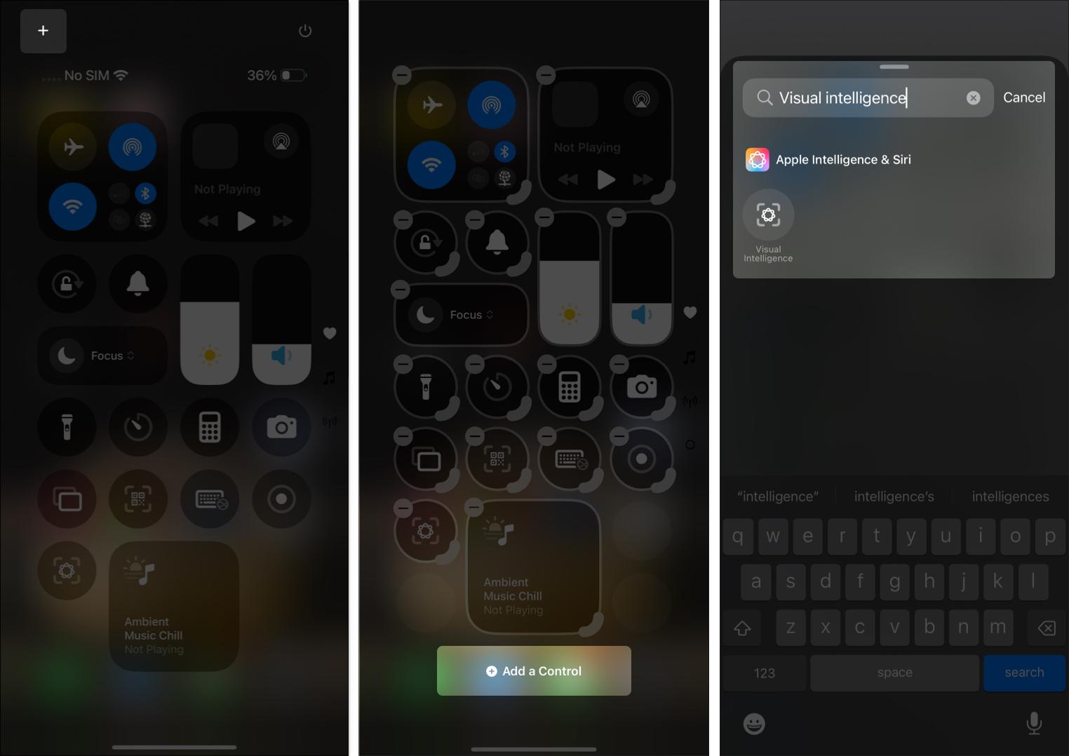 add visual intelligence from control center on iPhone