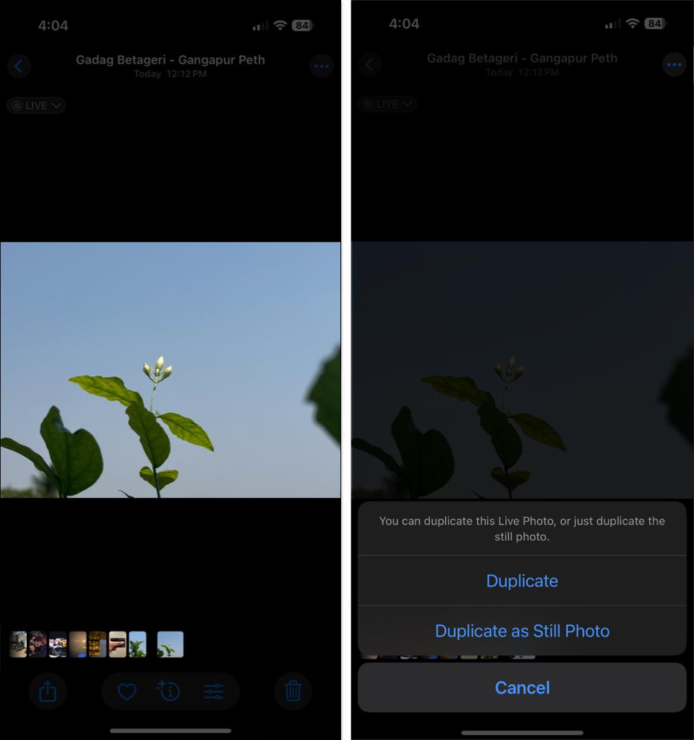 Duplicating a Live Photo as a still photo in the iOS Photos app.