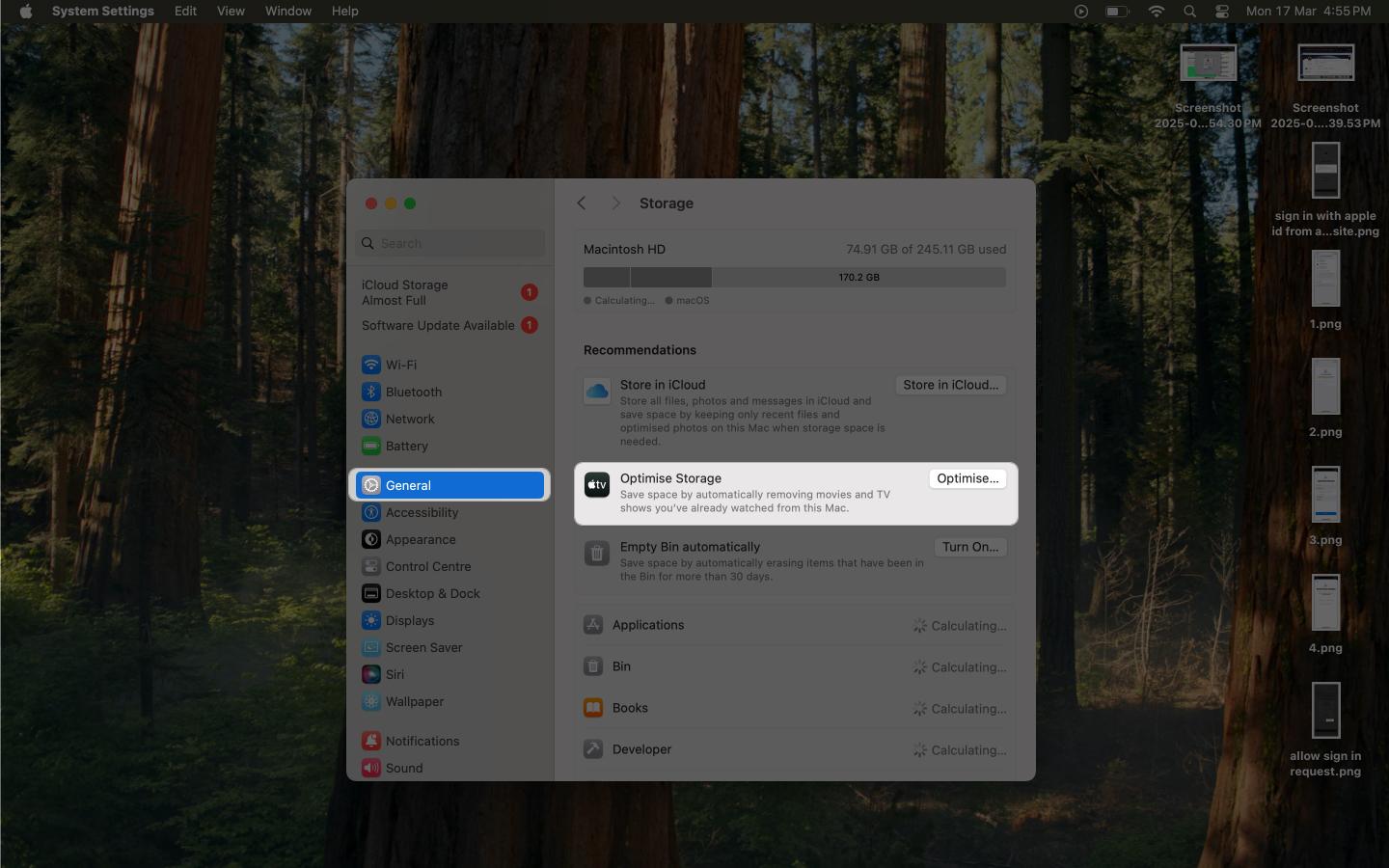 Optimize Storage option in macOS System Settings on a Mac.