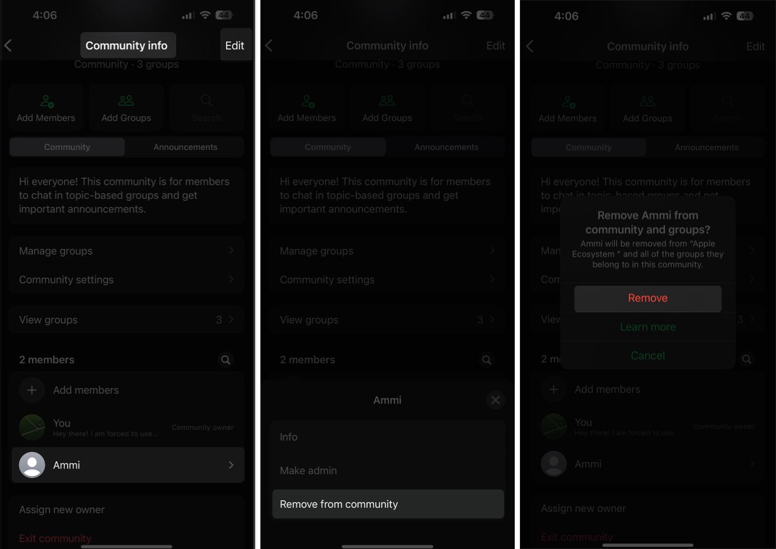 Removing a person from a WhatsApp Community on an iPhone.