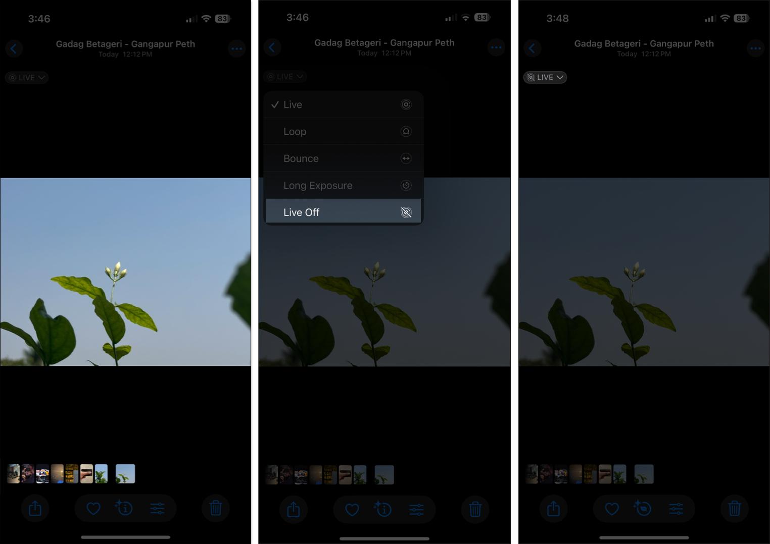 Turning off the Live Photos option for a photo in the Photos app on an iPhone.
