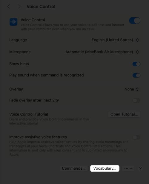 Access vocabulary from Voice Control settings
