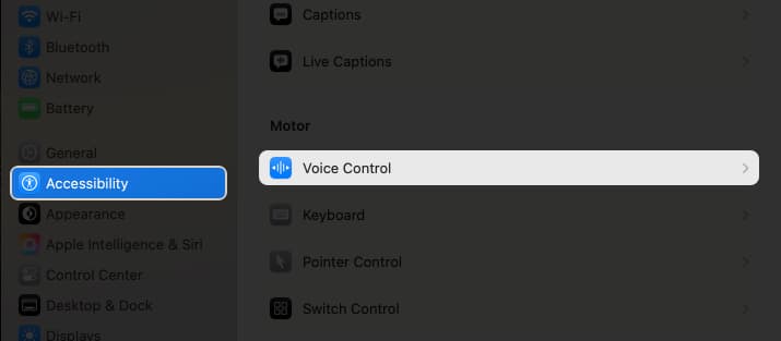 Click on voice control option in settings on Mac