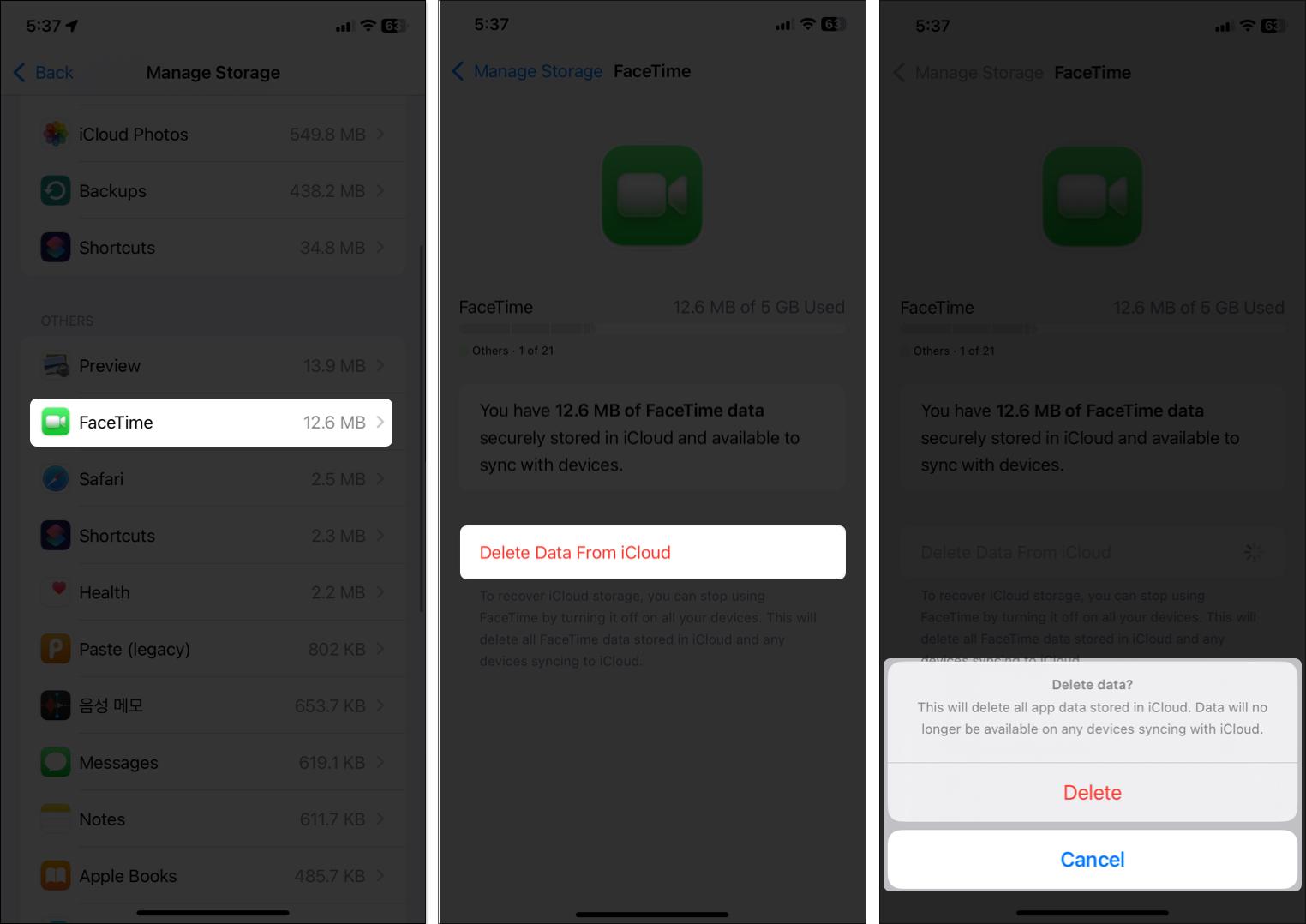 Delete facetime data from iCloud on iphone