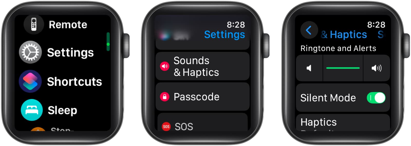 Enabling Silent Mode in the Settings app on an Apple Watch.