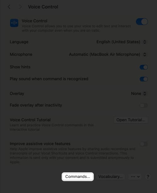 Find command option in Voice Control settings on Mac