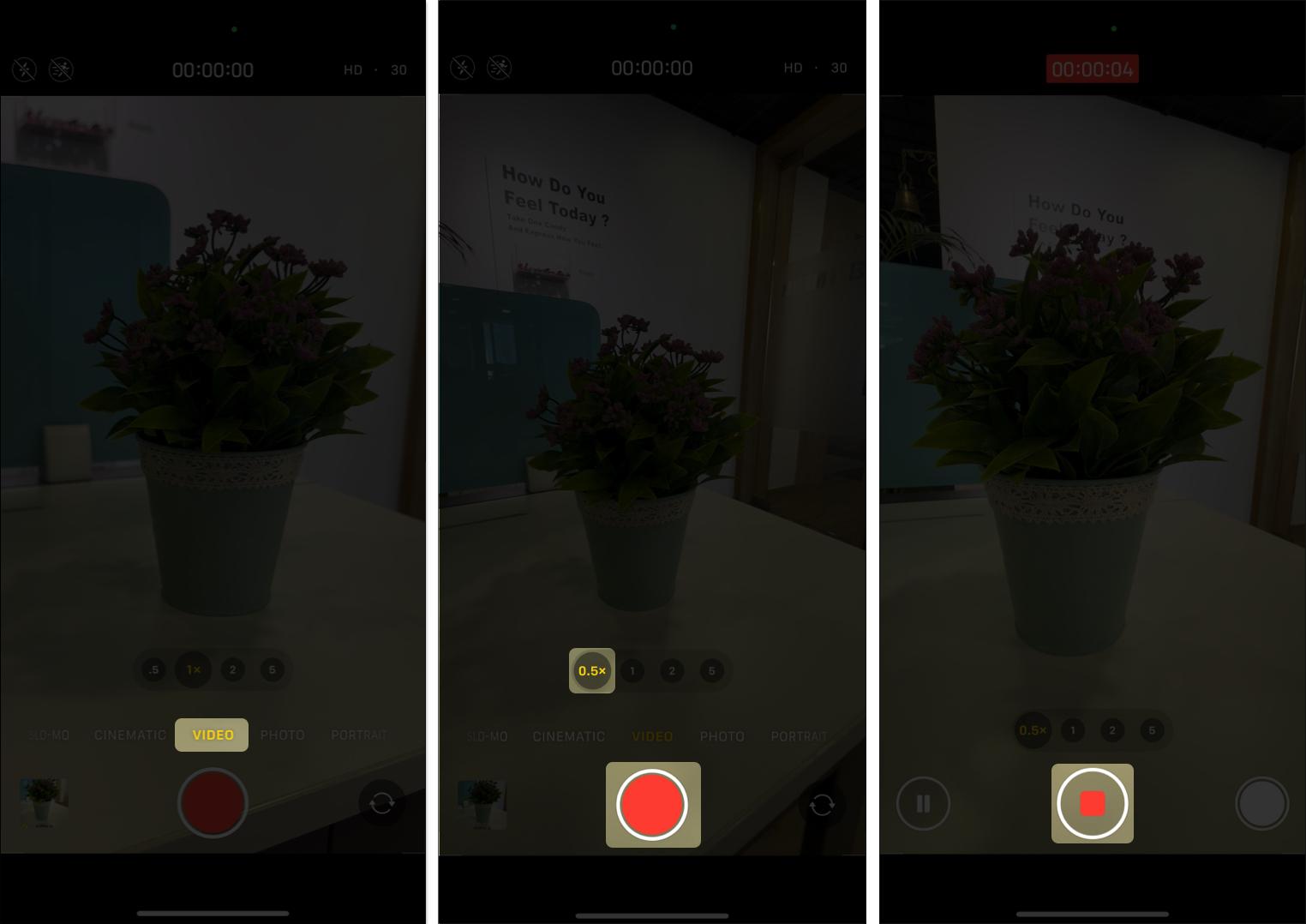 Taking a macro video using the Camera app on an iPhone.