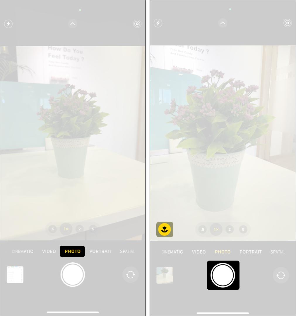 Taking a macro photo using the Camera app on an iPhone.
