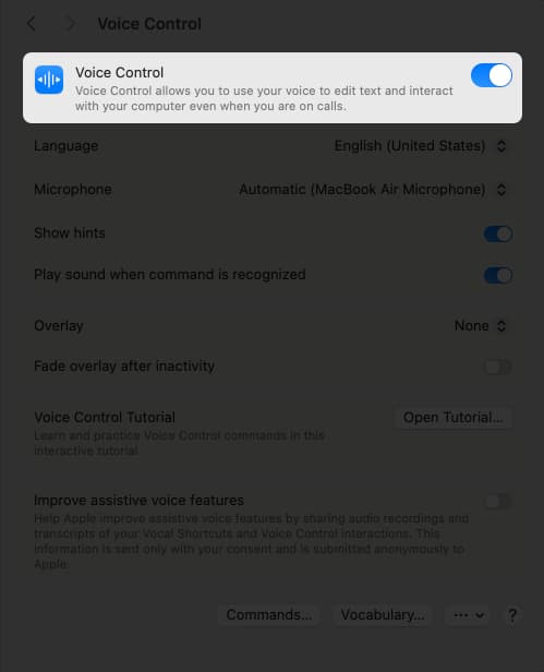 Toggle on voice control from Mac settings