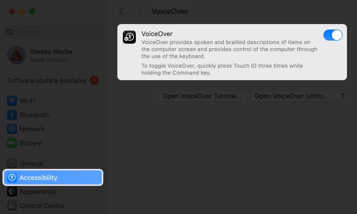 Turn on VoiceOver from system settings on mac
