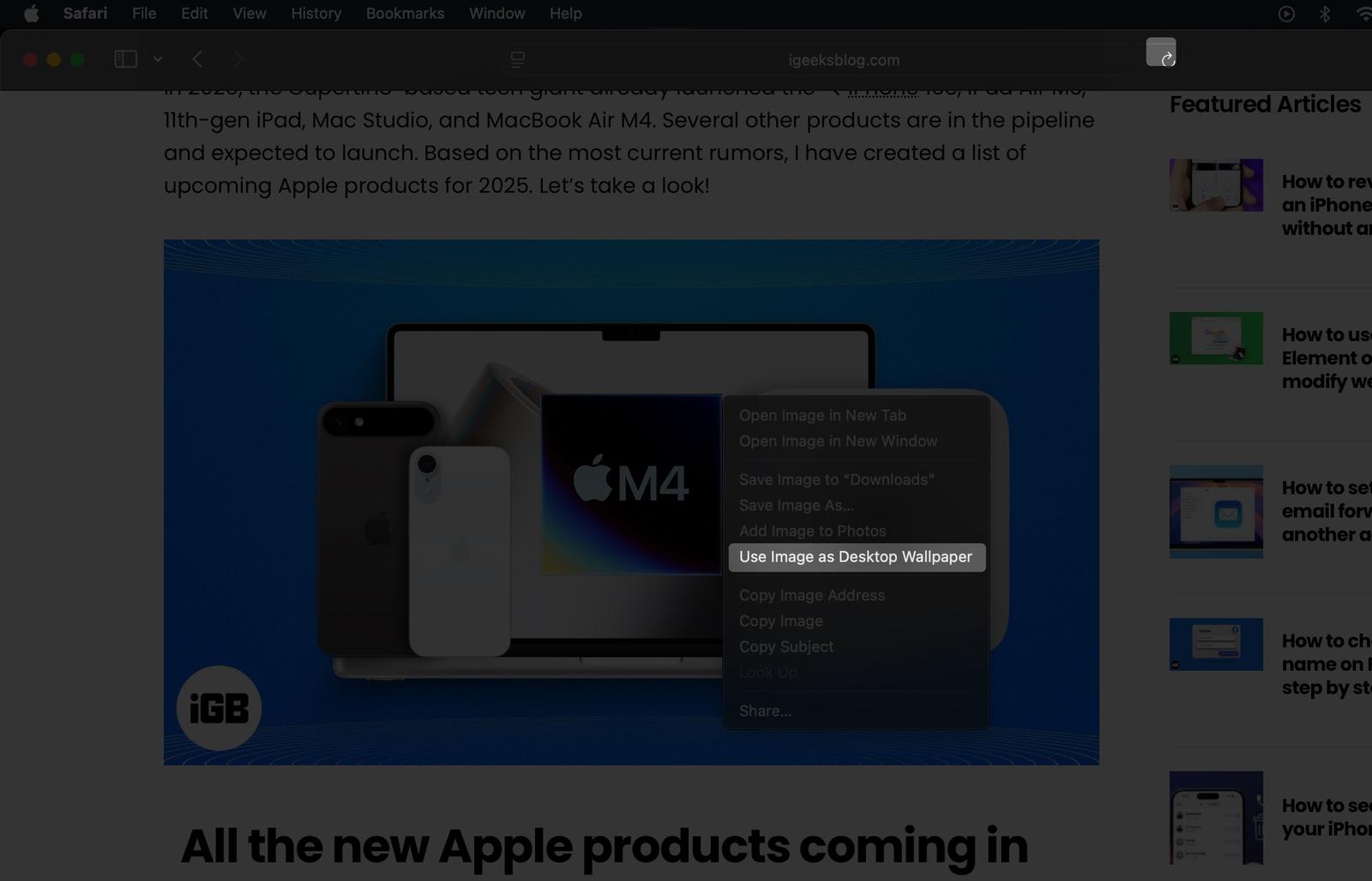 Setting an image from a website as a wallpaper on a Mac in the Safari app.