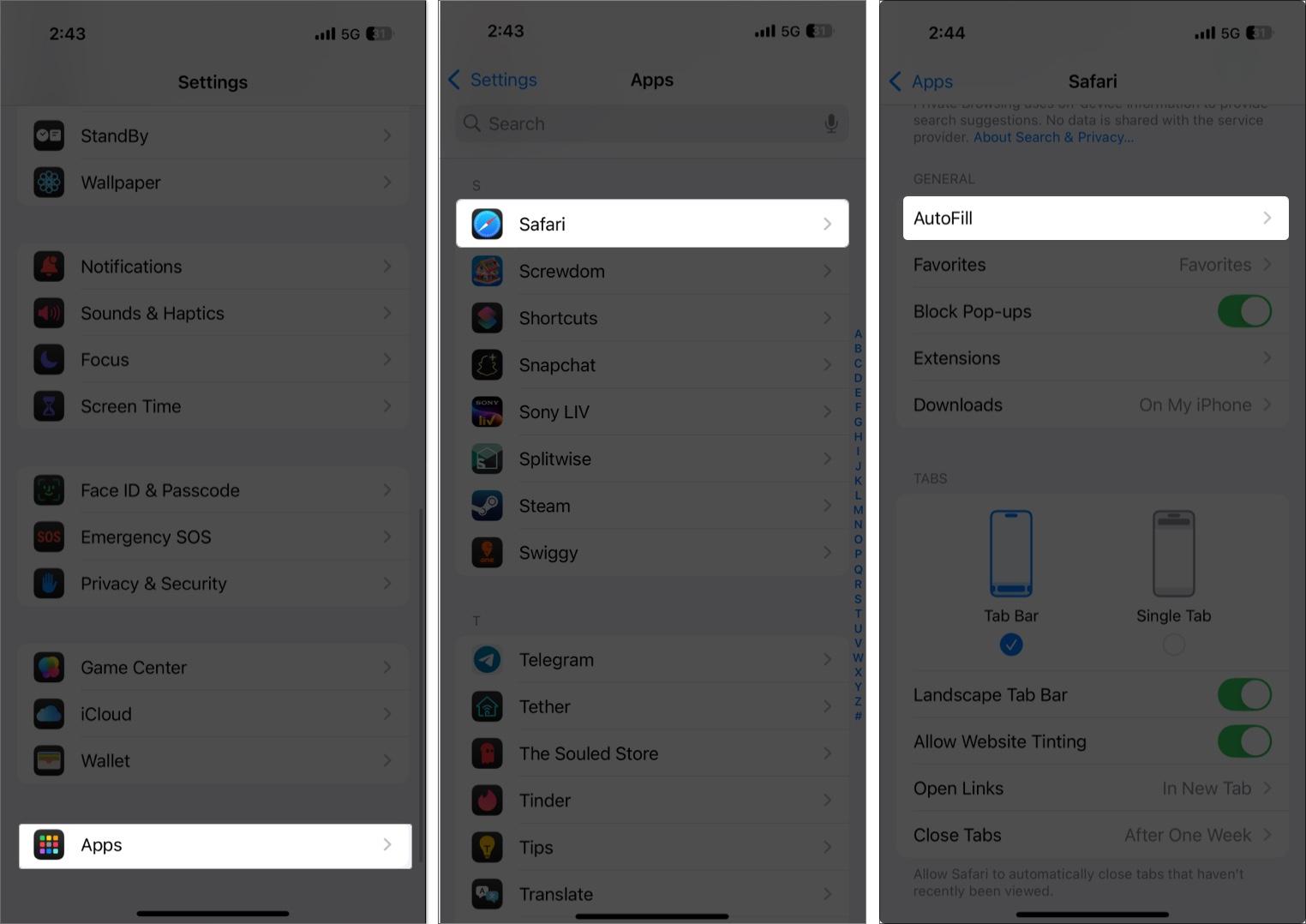Accessing the Safari Autofill option in the iPhone Settings app.