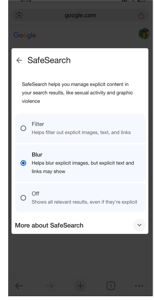 Adjust SafeSearch on Google browser settings