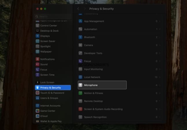 Accessing Microphone permissions on the Privacy & Security page in macOS System Settings app.