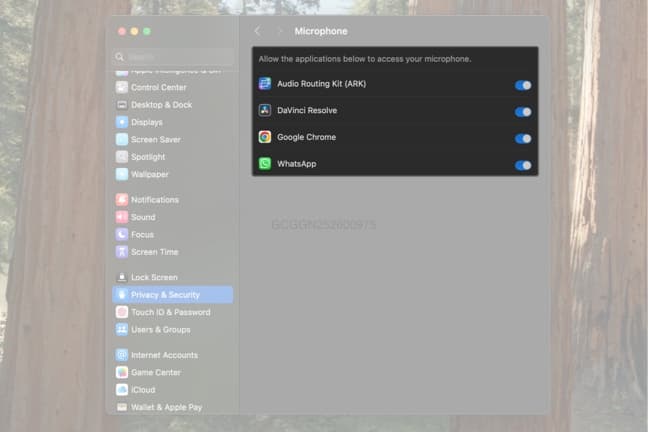 Granting microphone access to apps on a Mac.