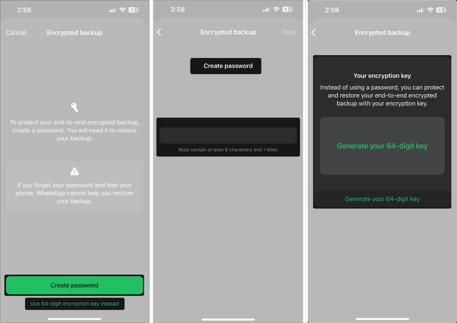 Choose to create Password or Encryption key in WhatsApp on iPhone