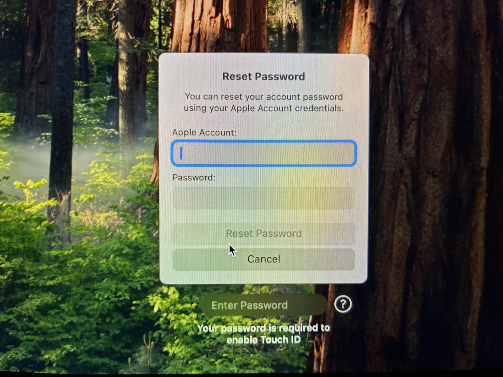 Logging in with your Apple Account to reset its password.