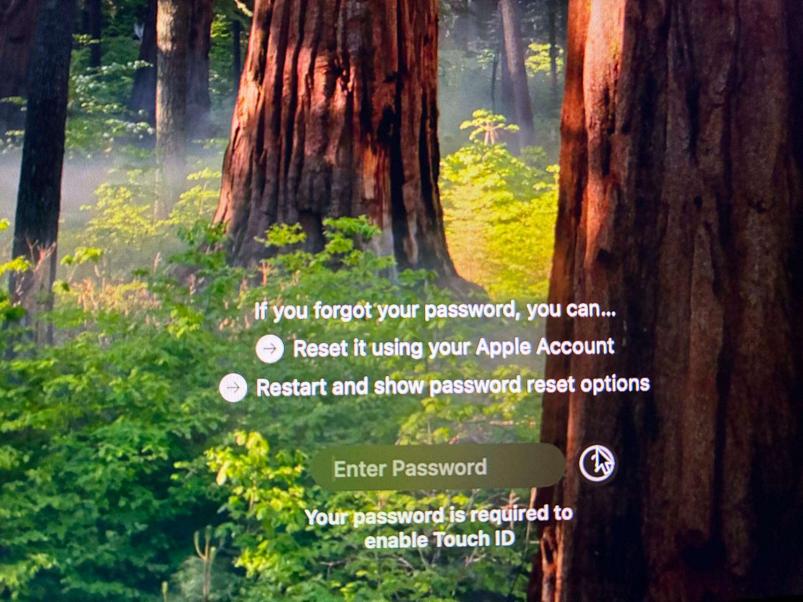 Options available upon clicking the question mark icon on the macOS login screen.