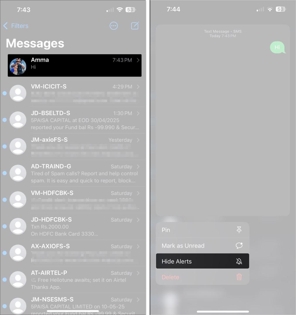 Tap and hold conversation in iMessage and tap hide alerts on iPhone
