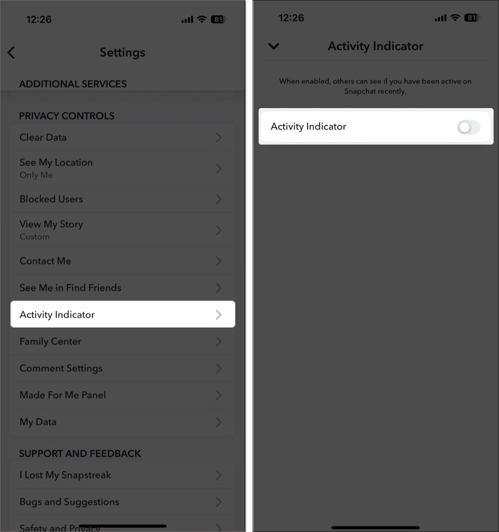 Toggle off to hide green dot in Snapchat setting