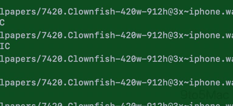 Clownfish Wallpaper Asset iOS 26 Beta 2.