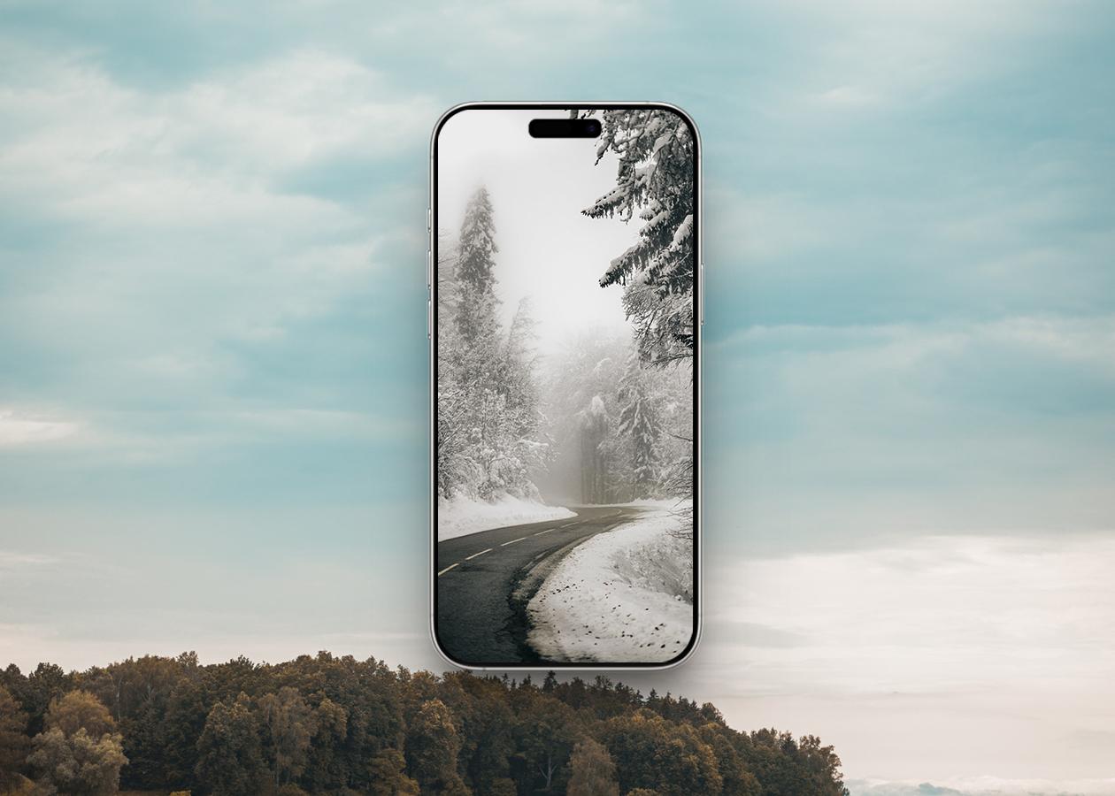 Snowy forest path