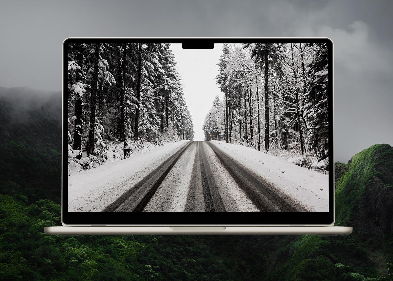 Winter road in forest