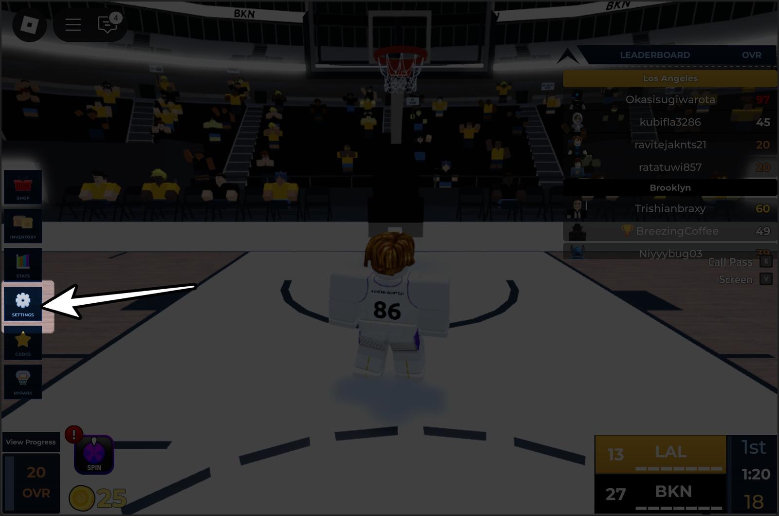 Basketball Legends Settings